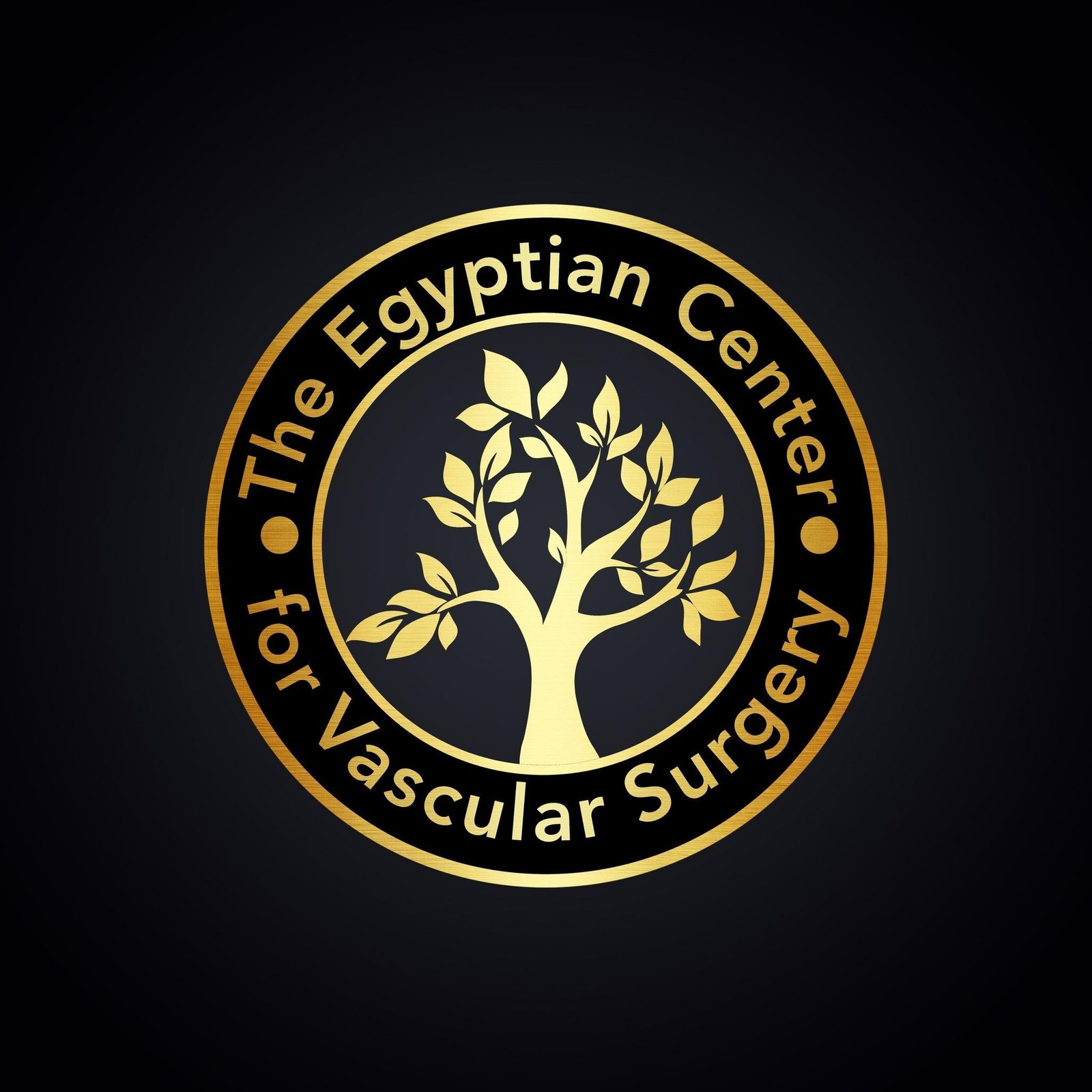 المركز المصري لجراحات الأوعيه الدمويه